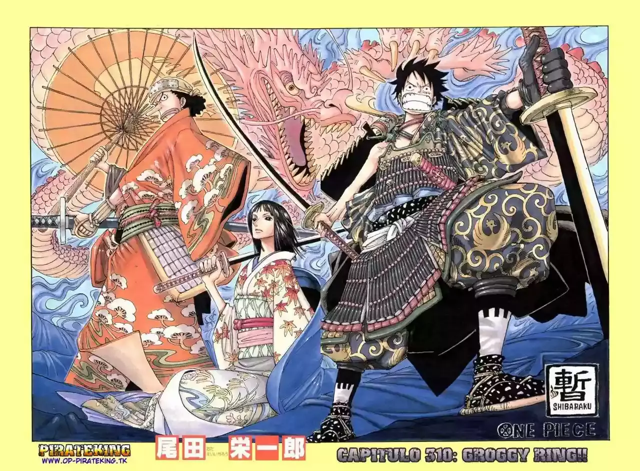 One Piece Capitulo 310 página 2