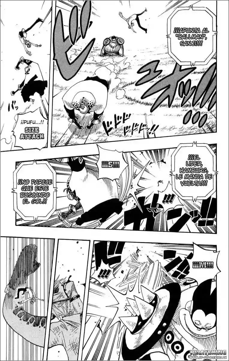 One Piece Capitulo 311 página 17