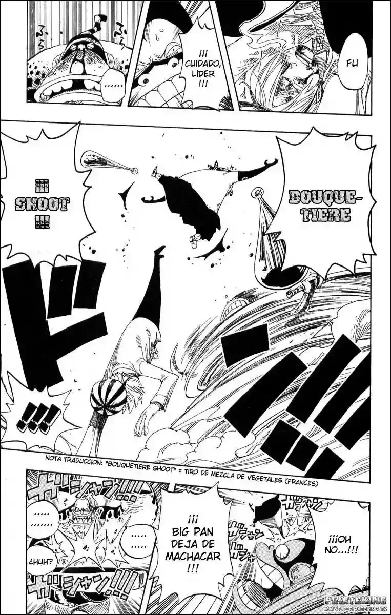 One Piece Capitulo 312 página 9