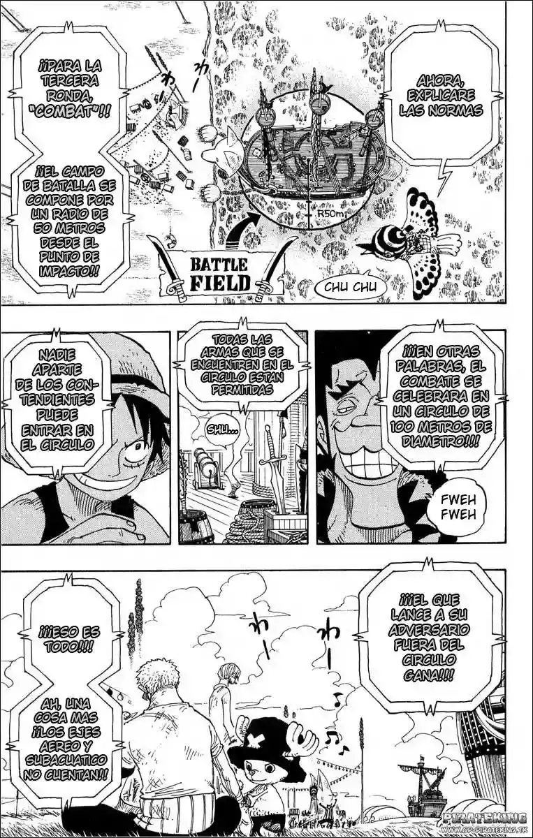One Piece Capitulo 313 página 13