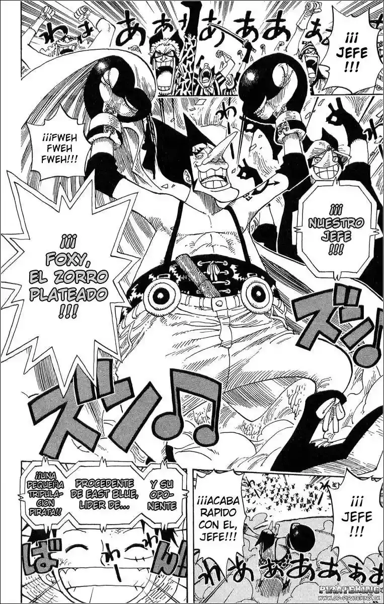 One Piece Capitulo 313 página 18