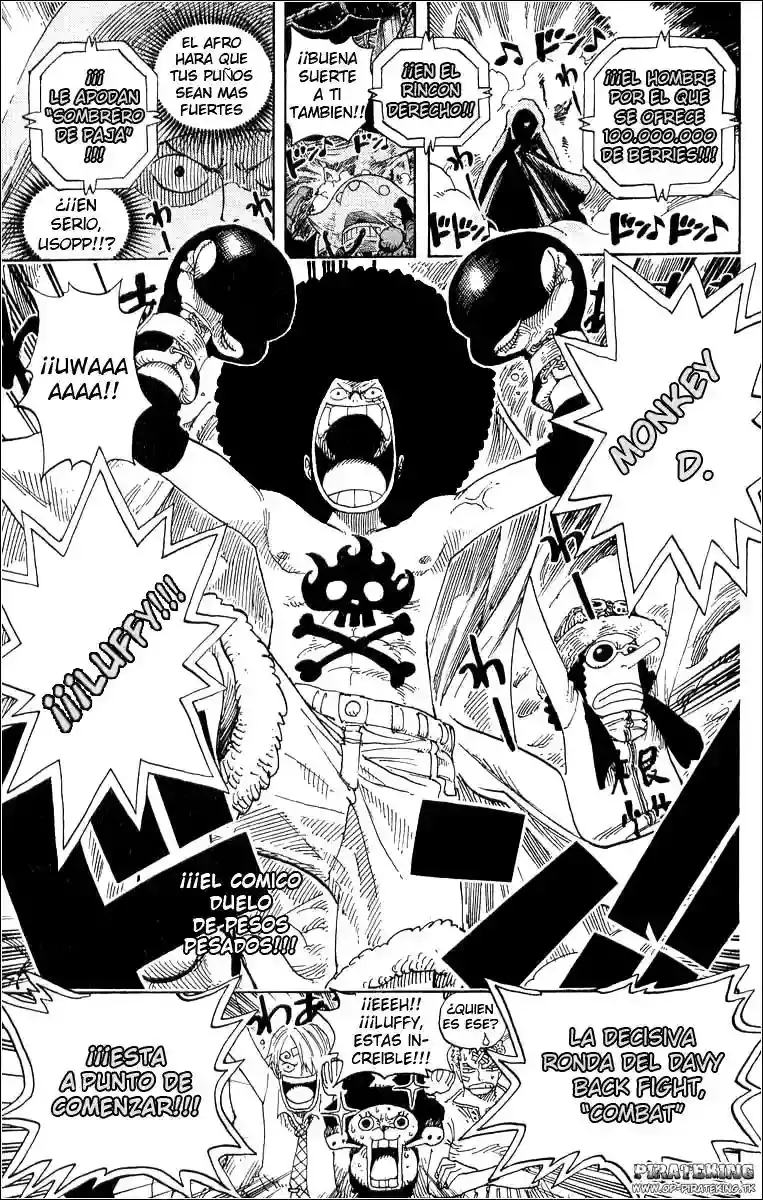 One Piece Capitulo 313 página 19