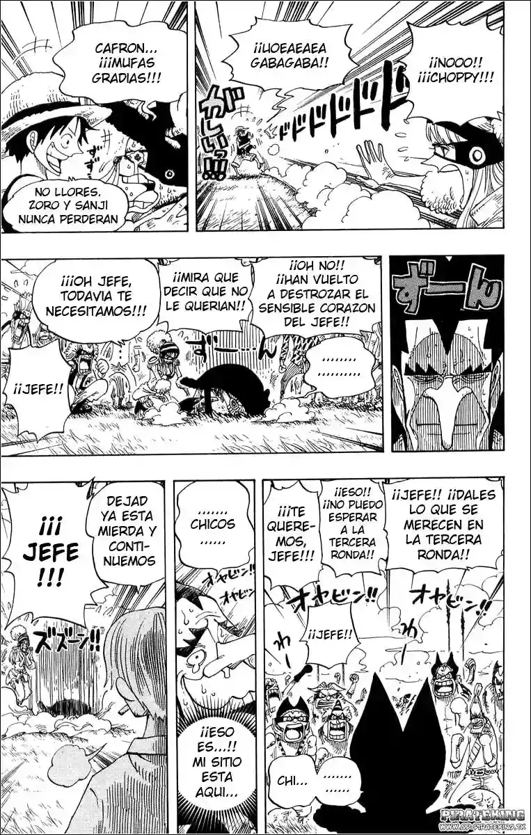 One Piece Capitulo 313 página 9