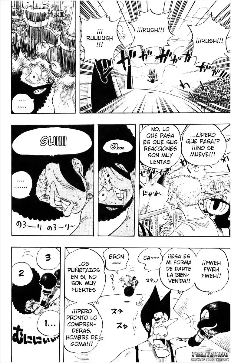 One Piece Capitulo 314 página 12