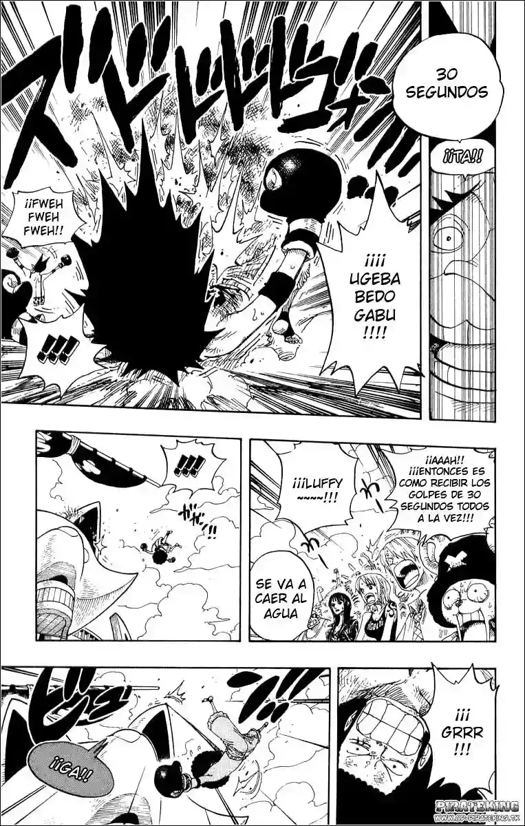 One Piece Capitulo 314 página 13