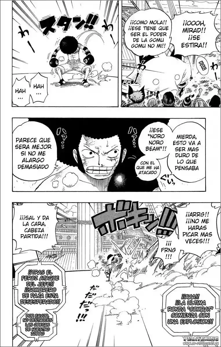 One Piece Capitulo 314 página 14