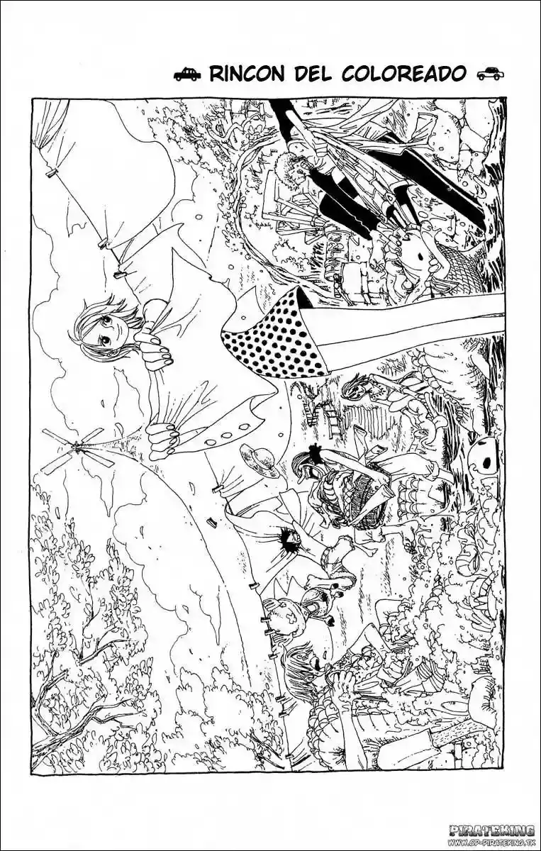 One Piece Capitulo 314 página 20