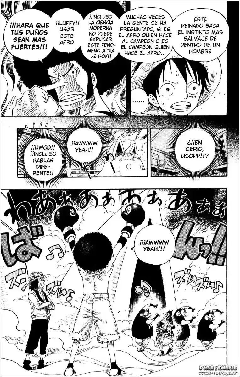 One Piece Capitulo 314 página 3