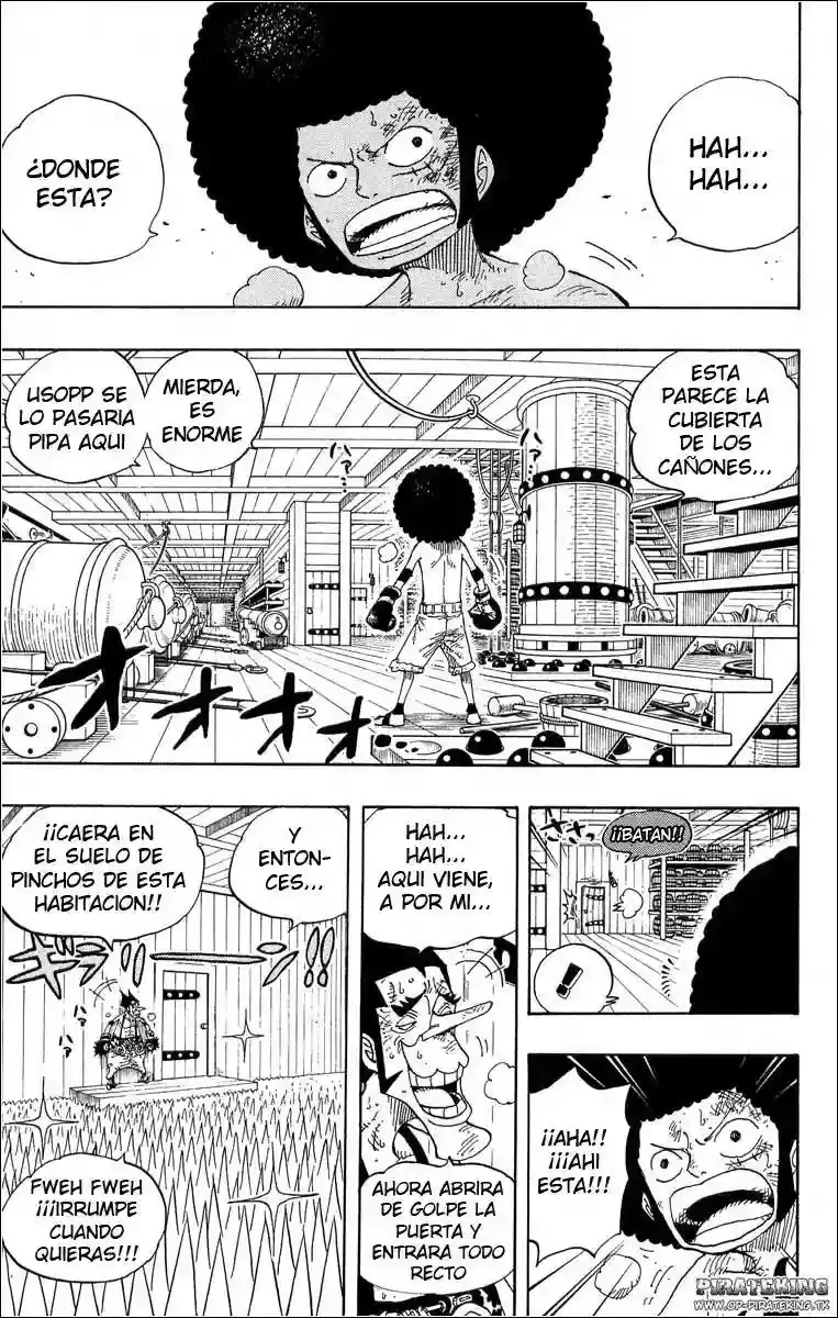 One Piece Capitulo 315 página 13