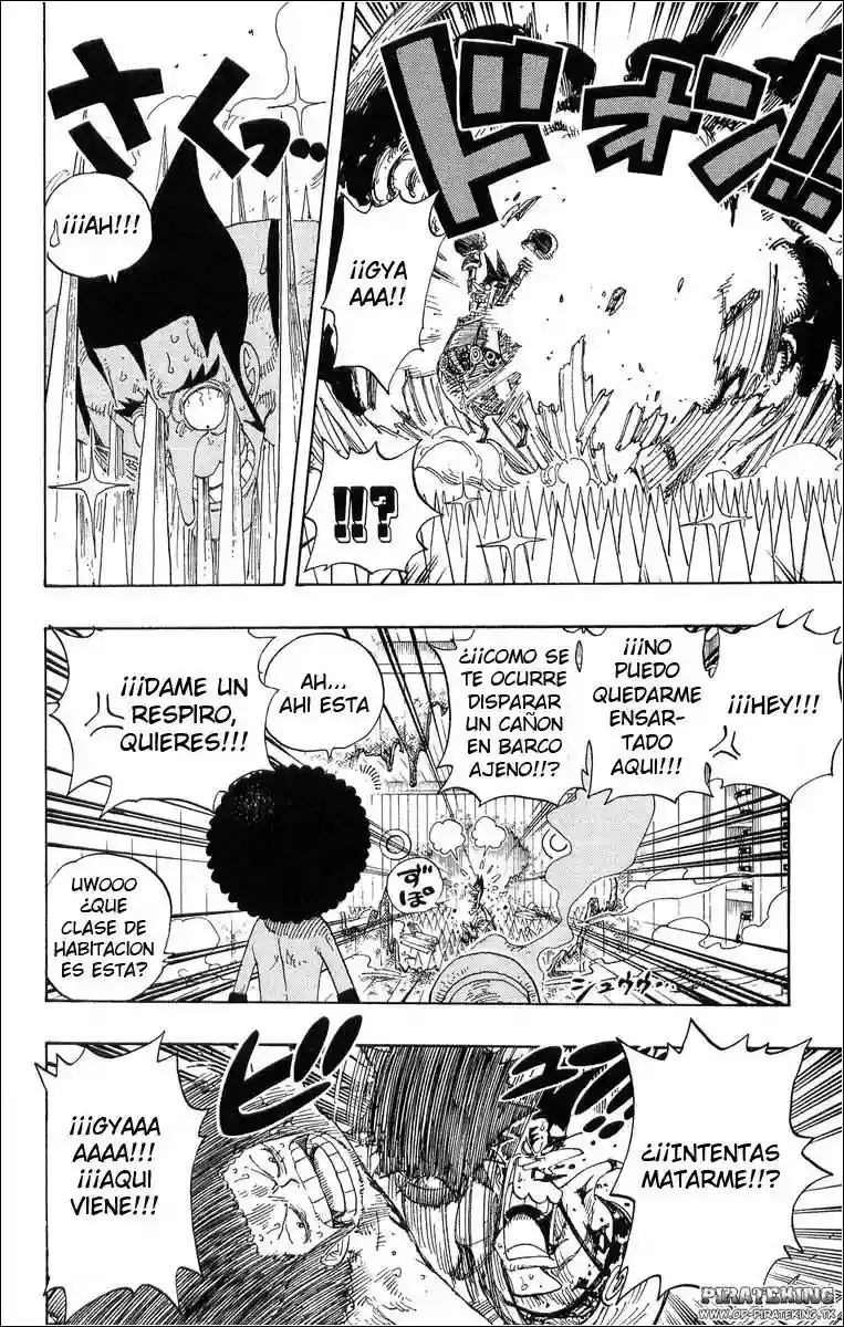 One Piece Capitulo 315 página 14