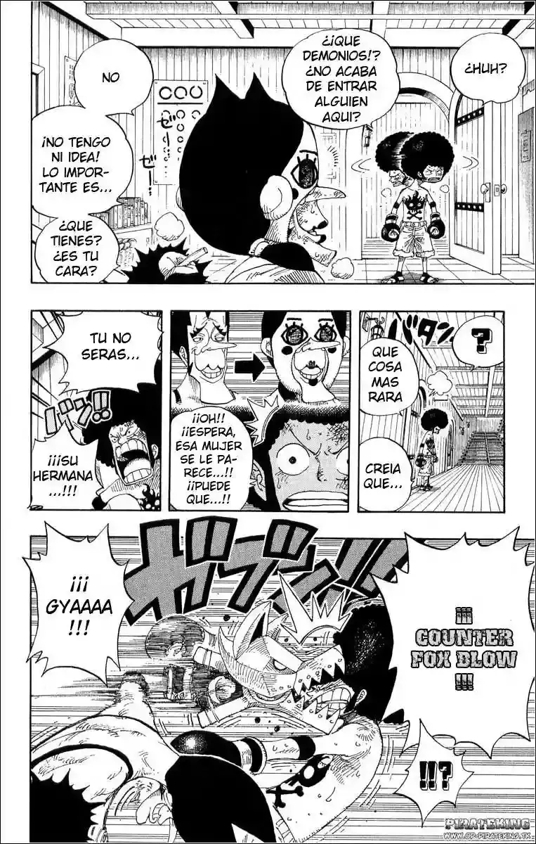 One Piece Capitulo 315 página 16