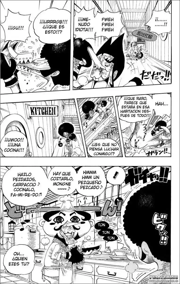 One Piece Capitulo 315 página 17