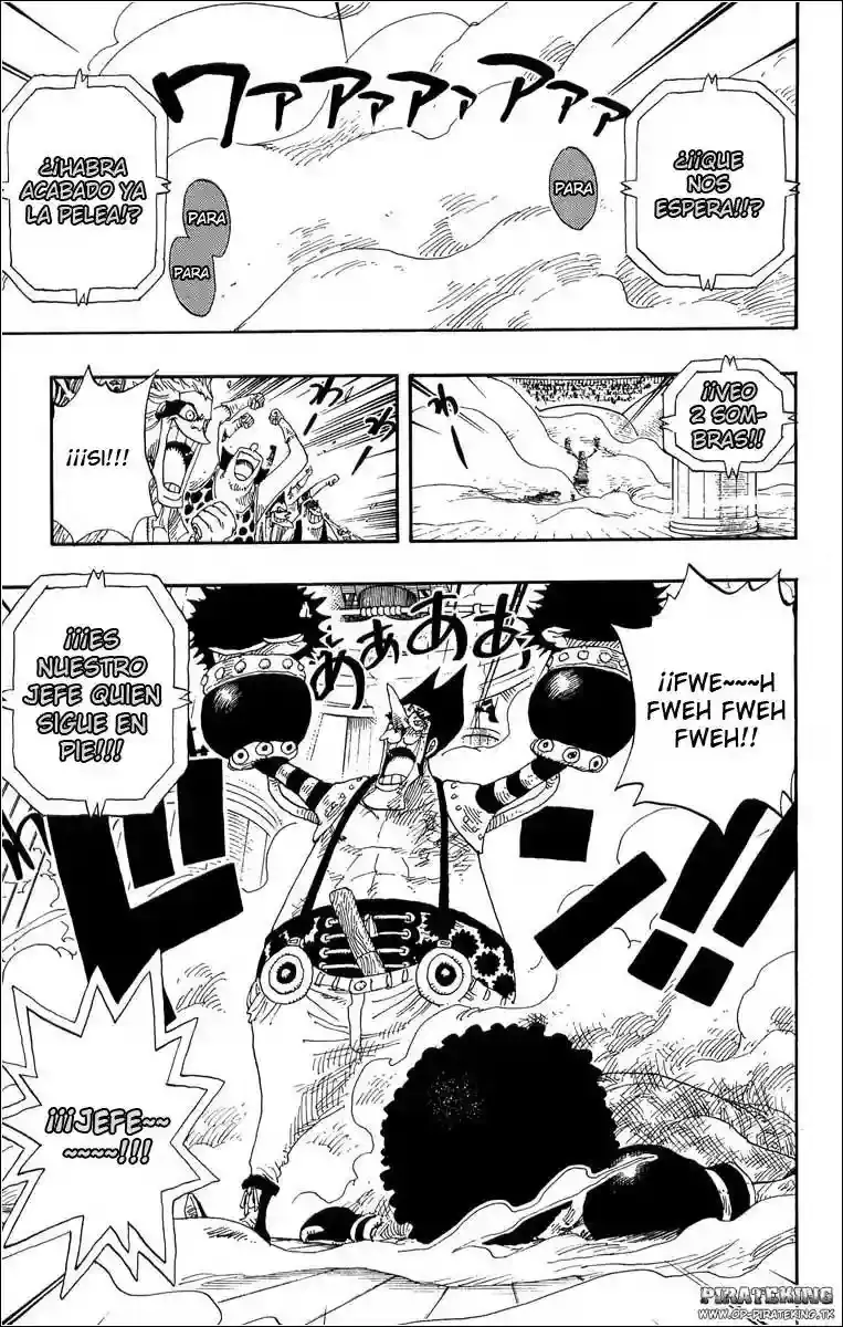 One Piece Capitulo 316 página 13