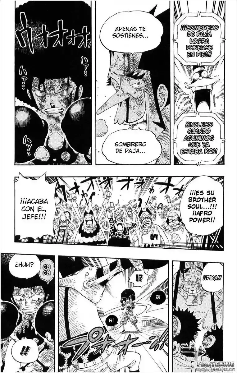 One Piece Capitulo 316 página 15