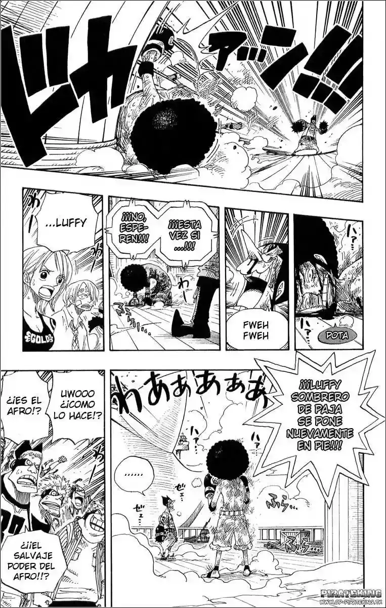 One Piece Capitulo 316 página 17