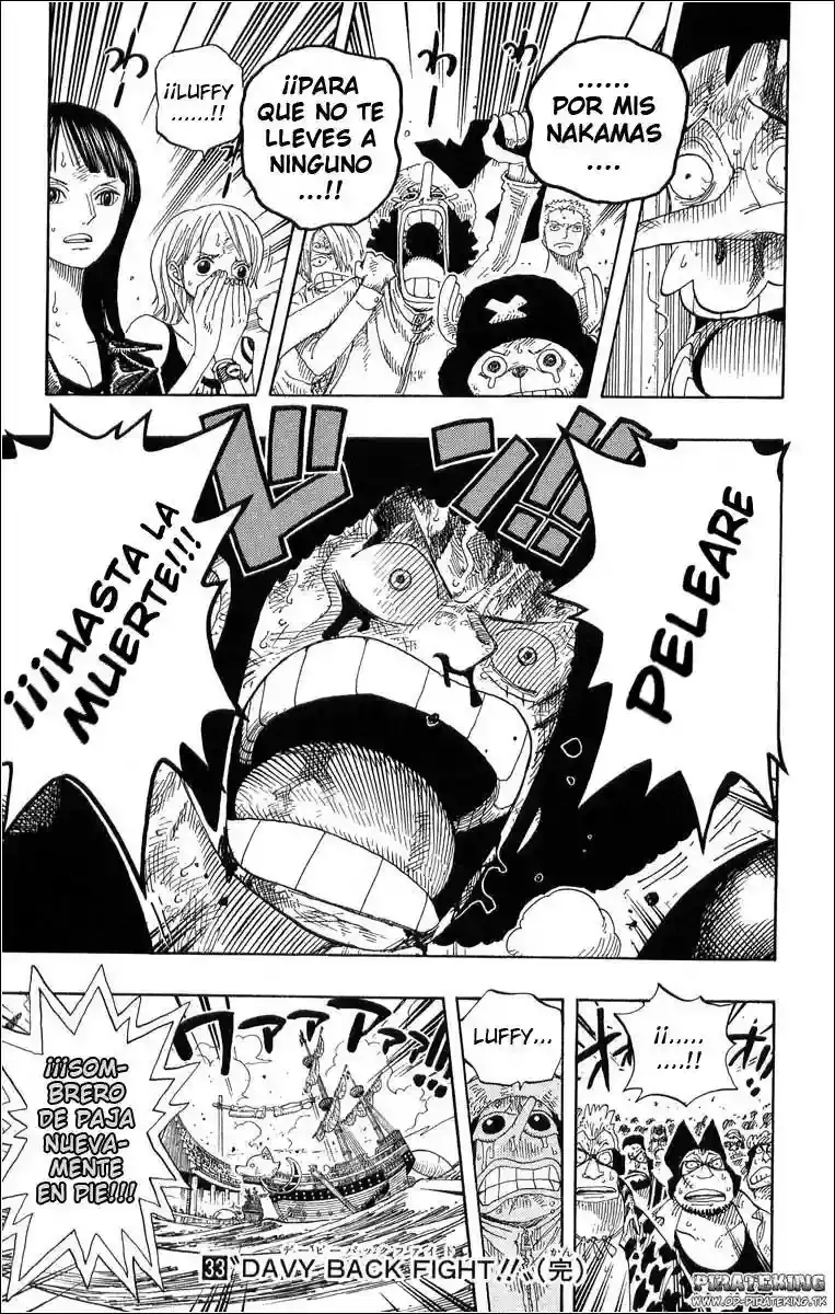 One Piece Capitulo 316 página 19