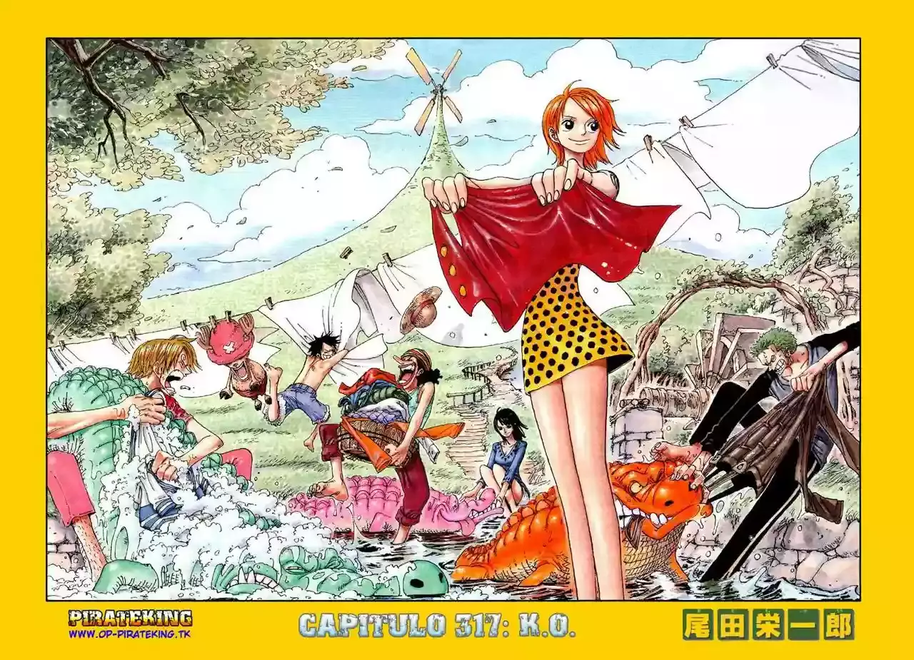 One Piece Capitulo 317 página 10