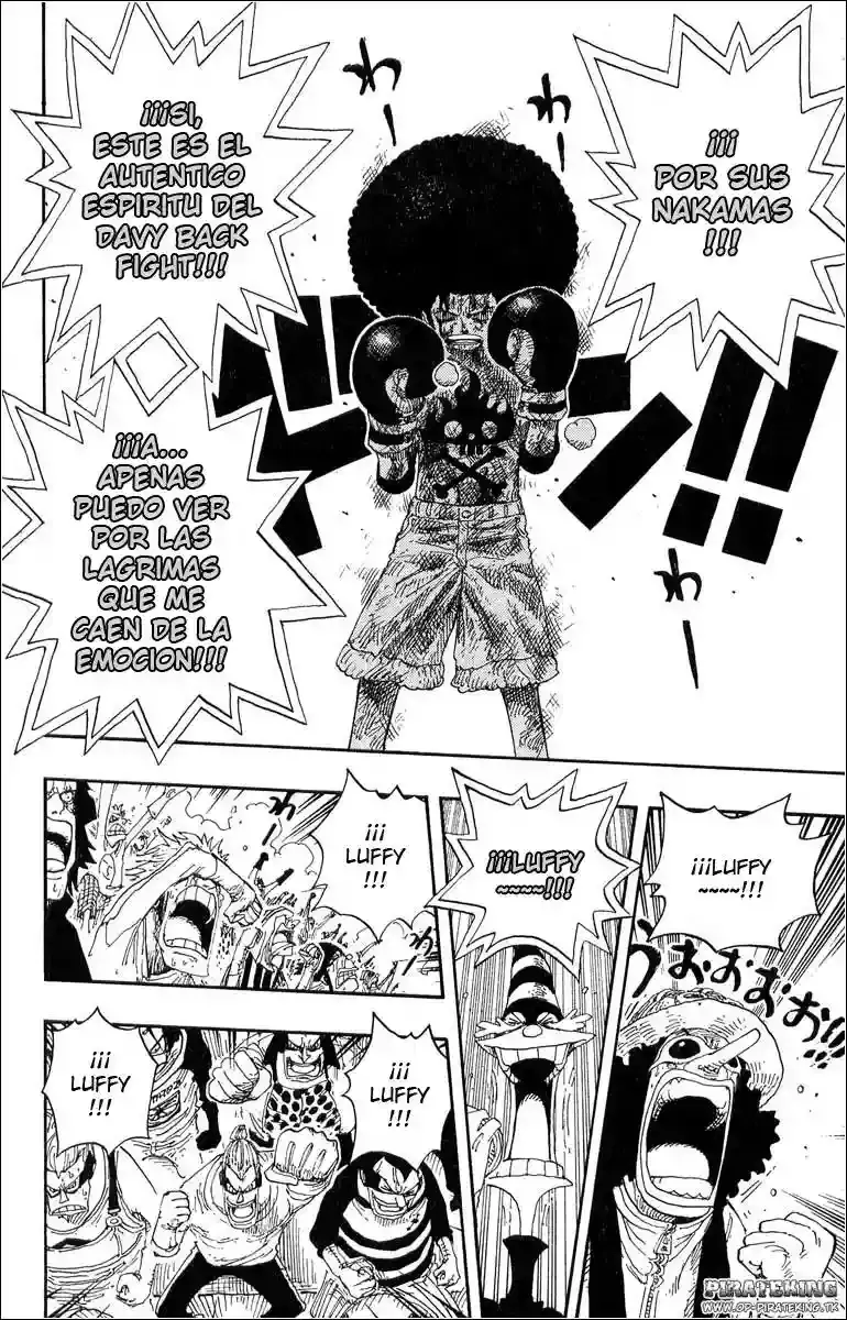 One Piece Capitulo 317 página 13