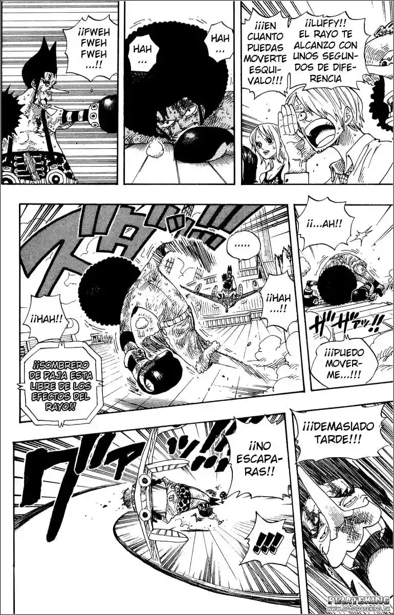 One Piece Capitulo 317 página 17