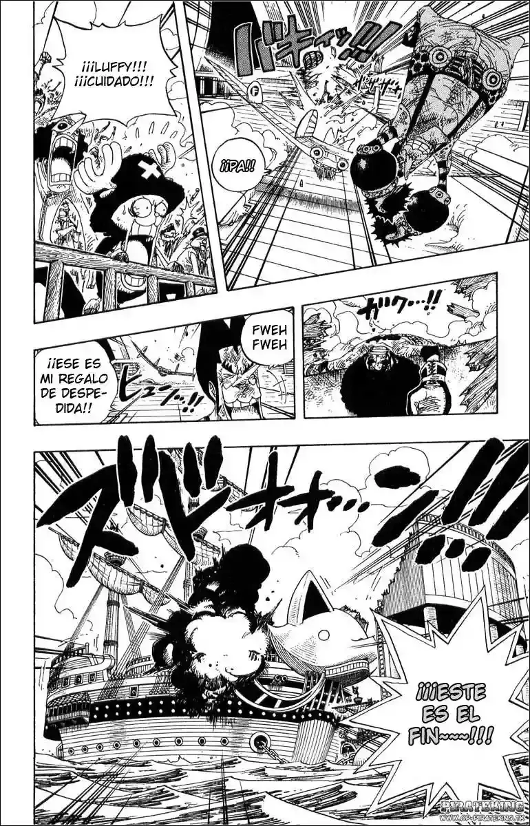 One Piece Capitulo 317 página 19
