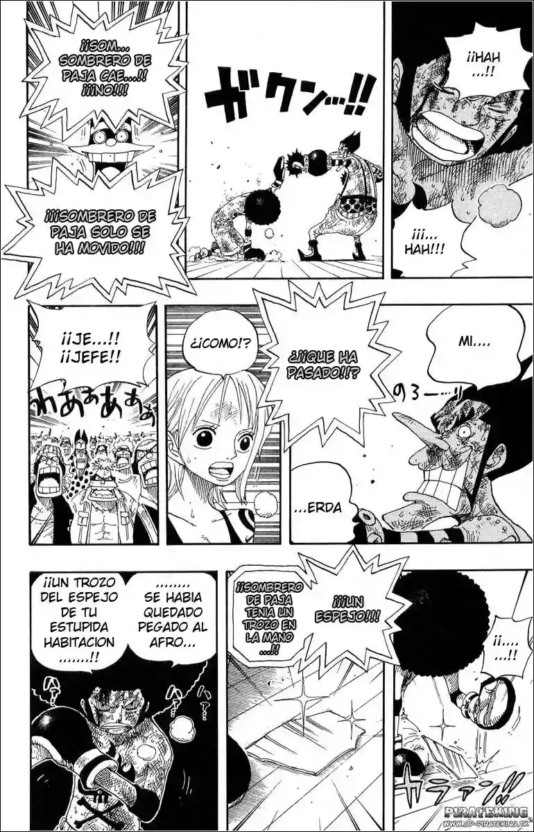 One Piece Capitulo 317 página 25