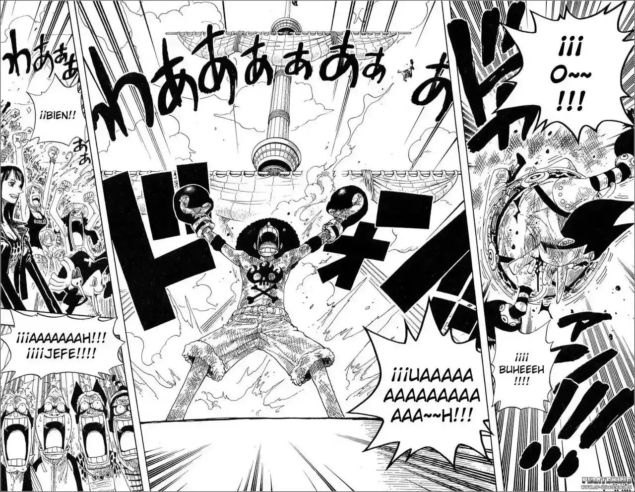 One Piece Capitulo 317 página 29
