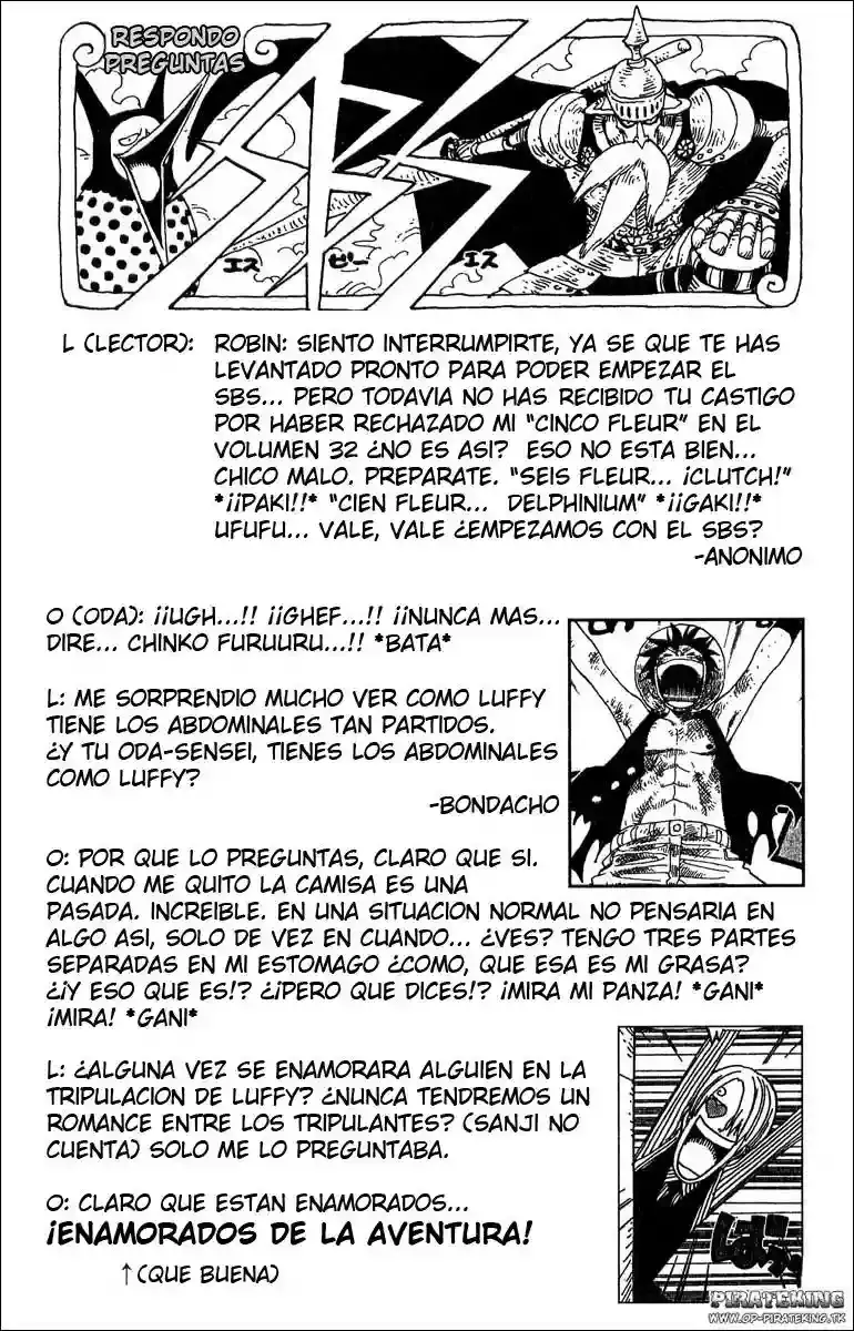 One Piece Capitulo 317 página 30