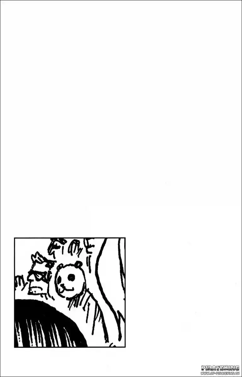One Piece Capitulo 317 página 8