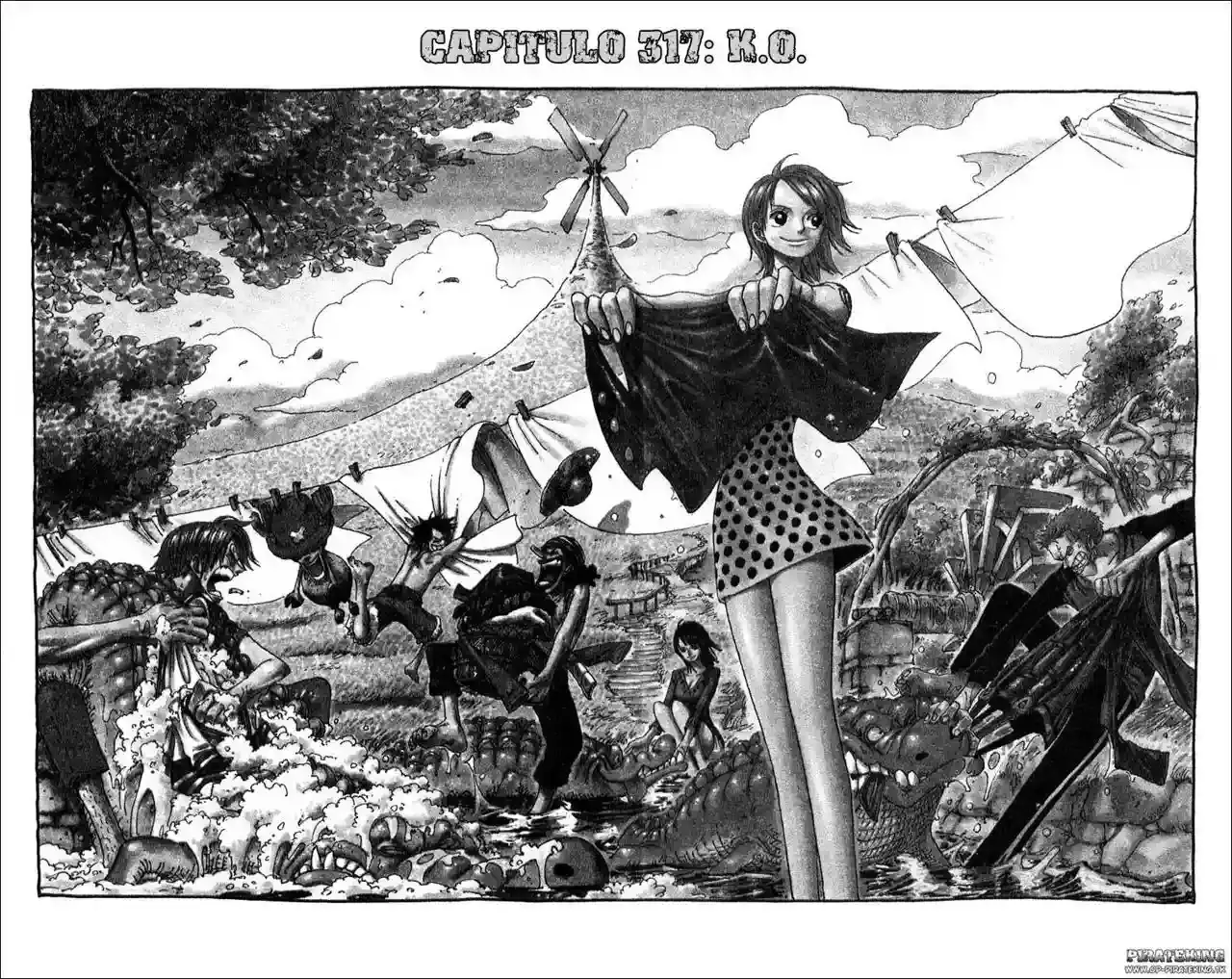 One Piece Capitulo 317 página 9