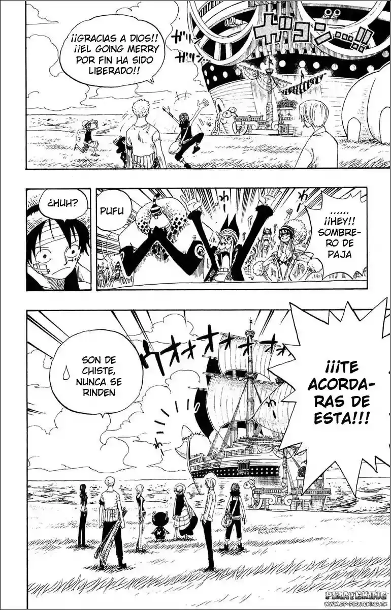 One Piece Capitulo 318 página 14