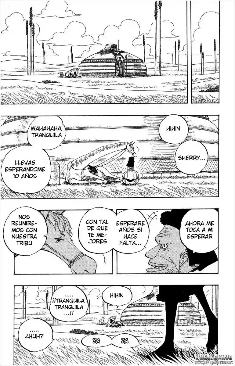 One Piece Capitulo 318 página 15