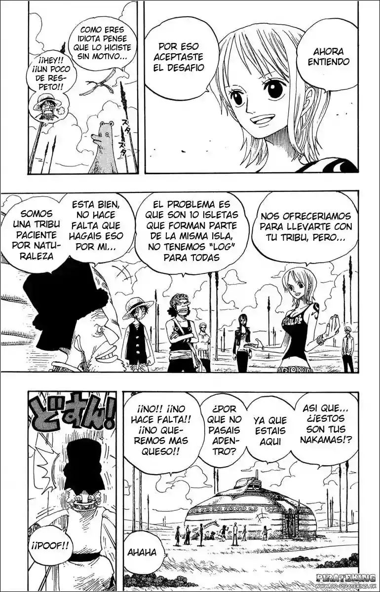 One Piece Capitulo 318 página 17