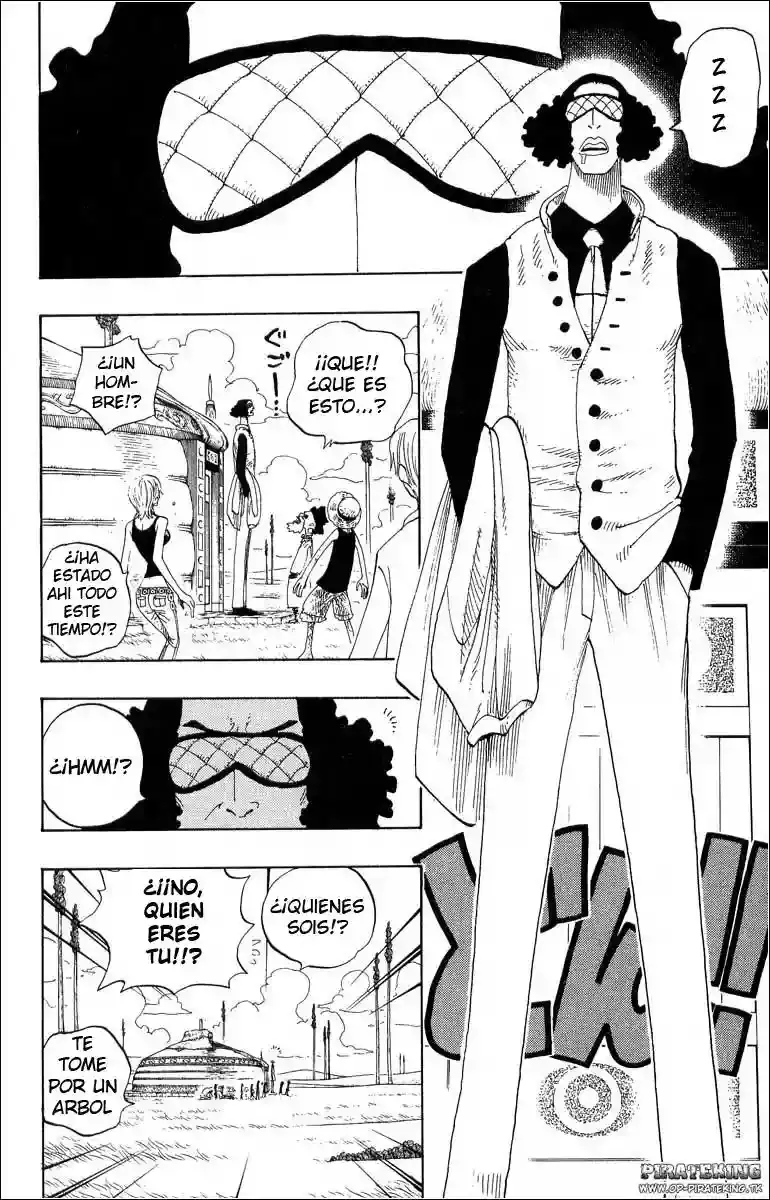 One Piece Capitulo 318 página 18