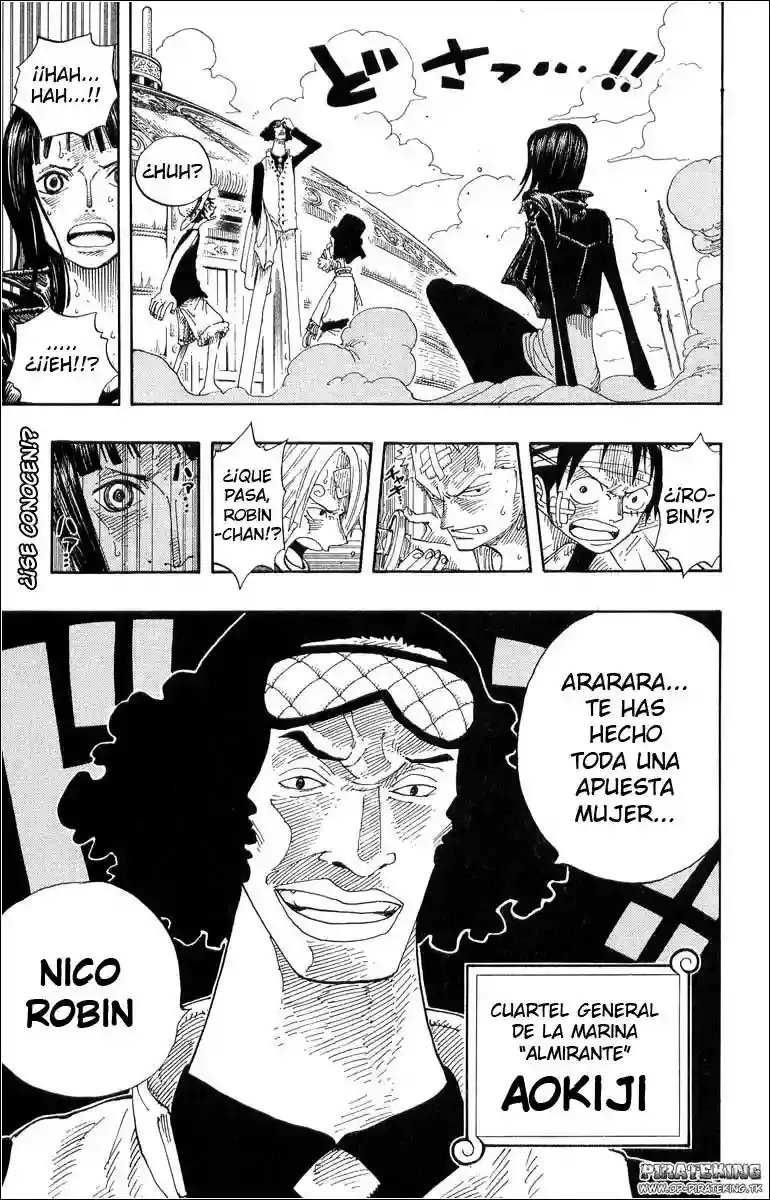 One Piece Capitulo 318 página 19