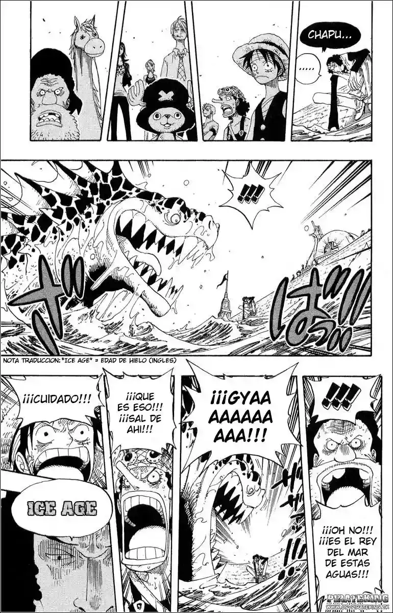 One Piece Capitulo 319 página 11