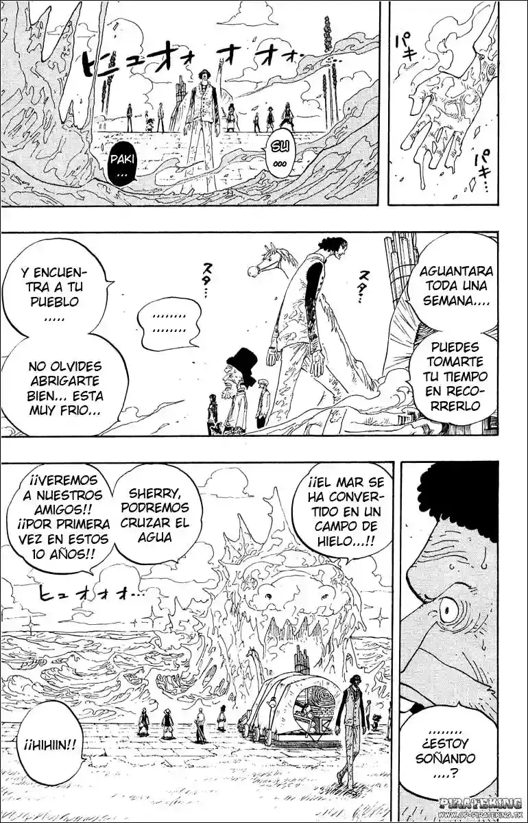 One Piece Capitulo 319 página 14