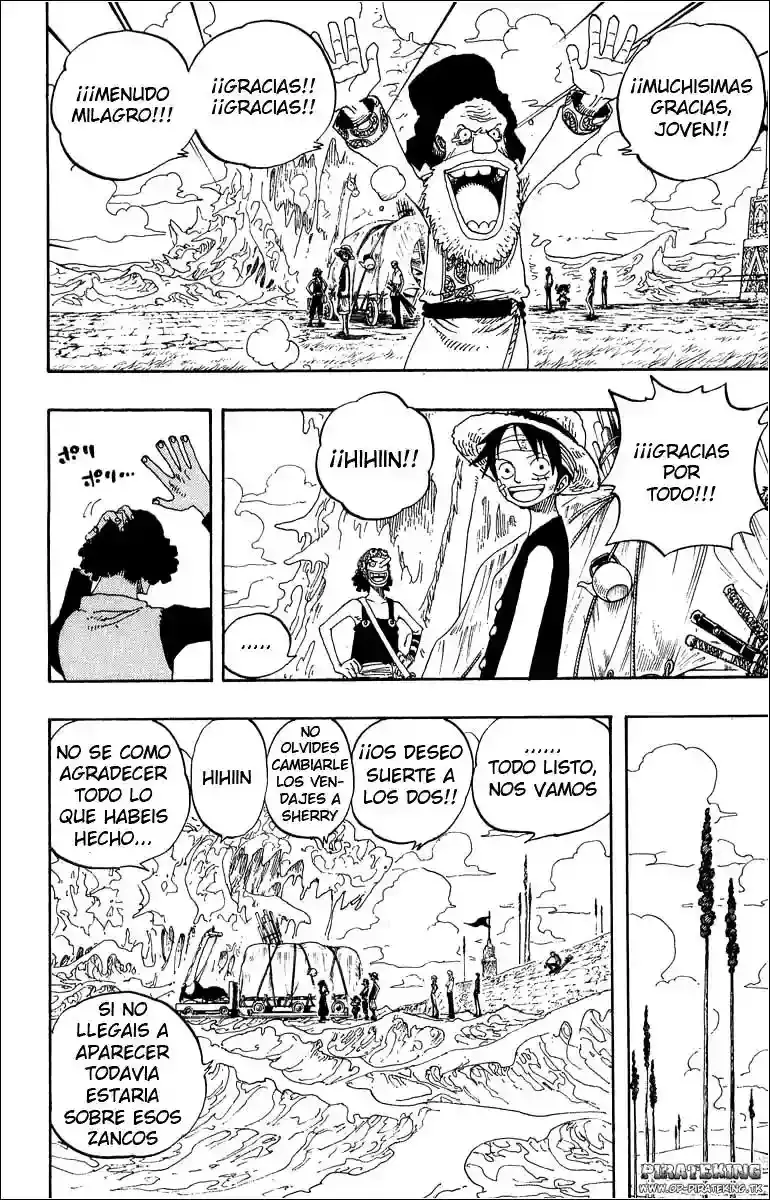 One Piece Capitulo 319 página 15
