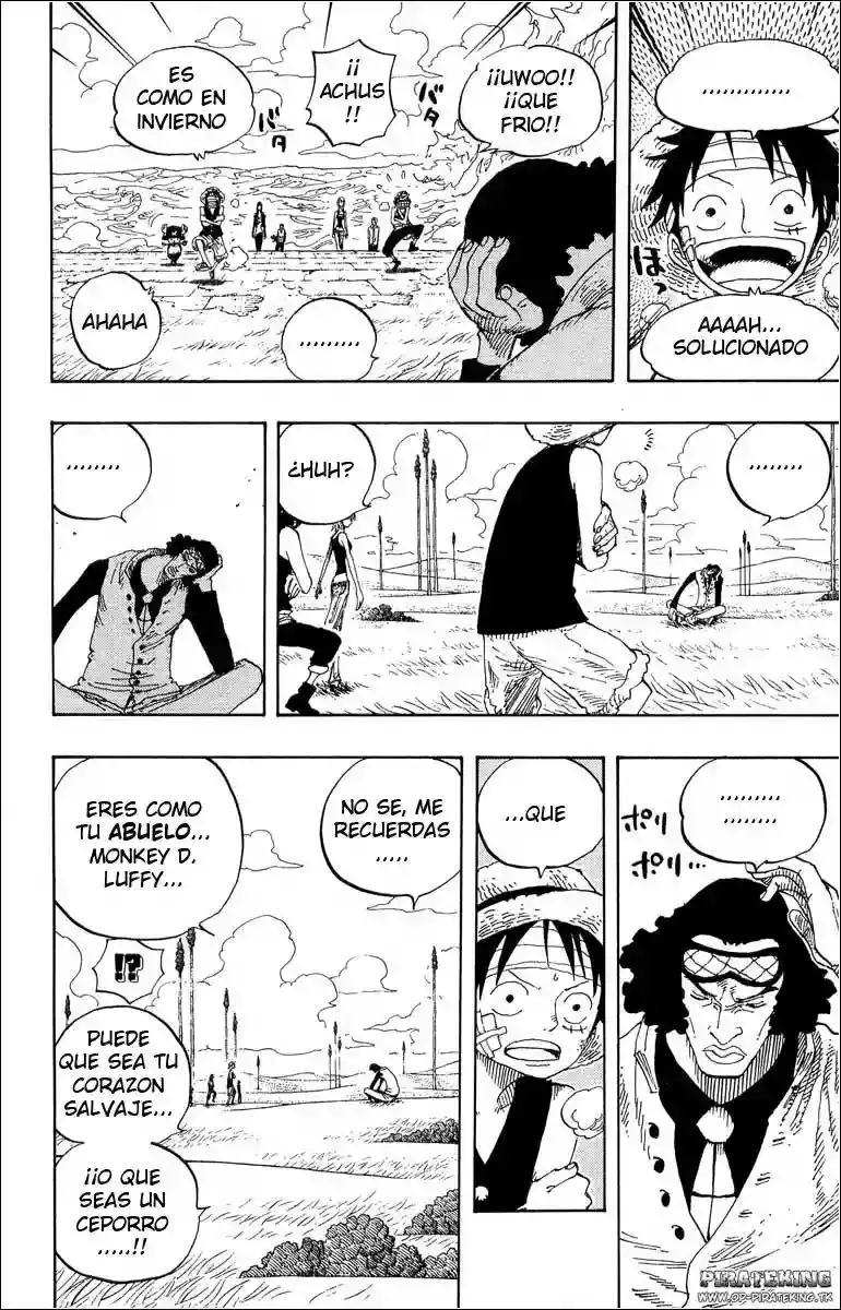 One Piece Capitulo 319 página 17