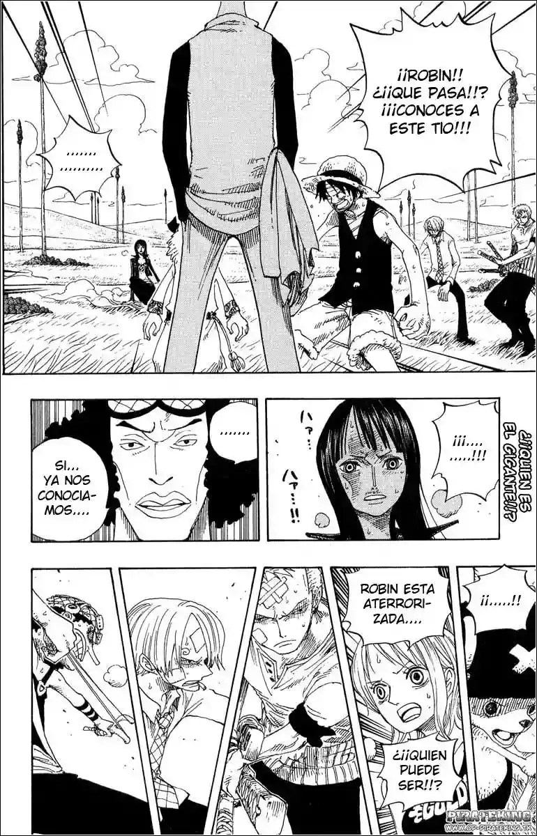 One Piece Capitulo 319 página 2
