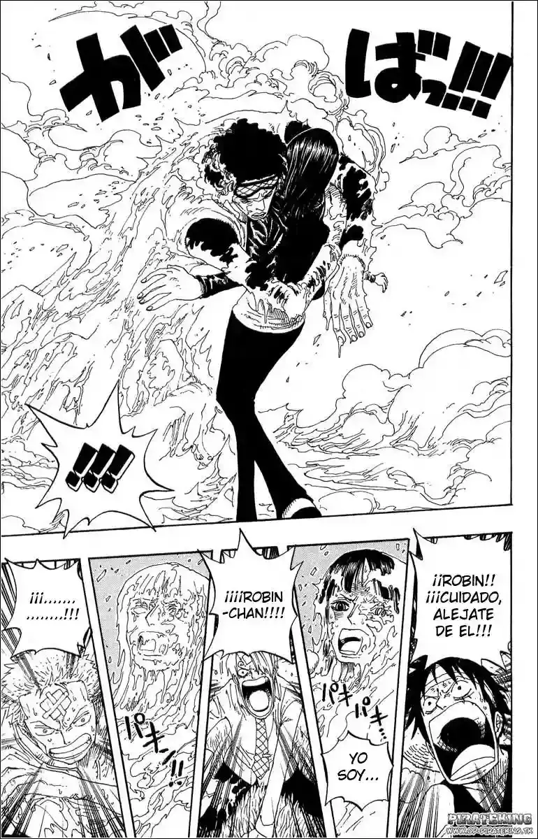 One Piece Capitulo 320 página 13