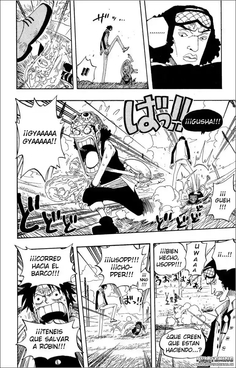 One Piece Capitulo 320 página 16