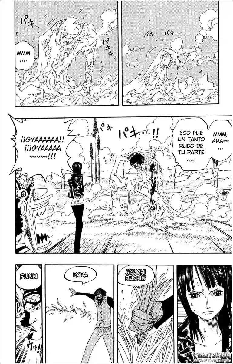 One Piece Capitulo 320 página 8