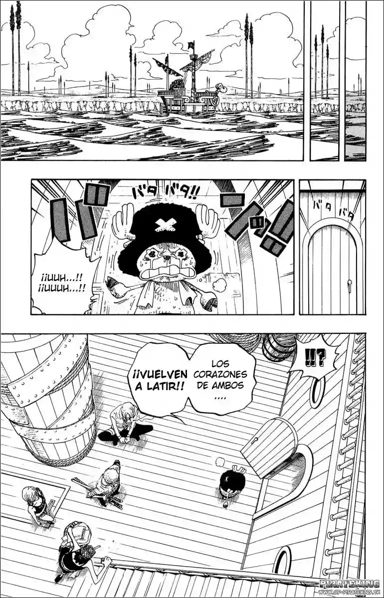 One Piece Capitulo 321 página 16