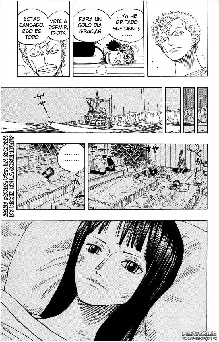 One Piece Capitulo 321 página 18