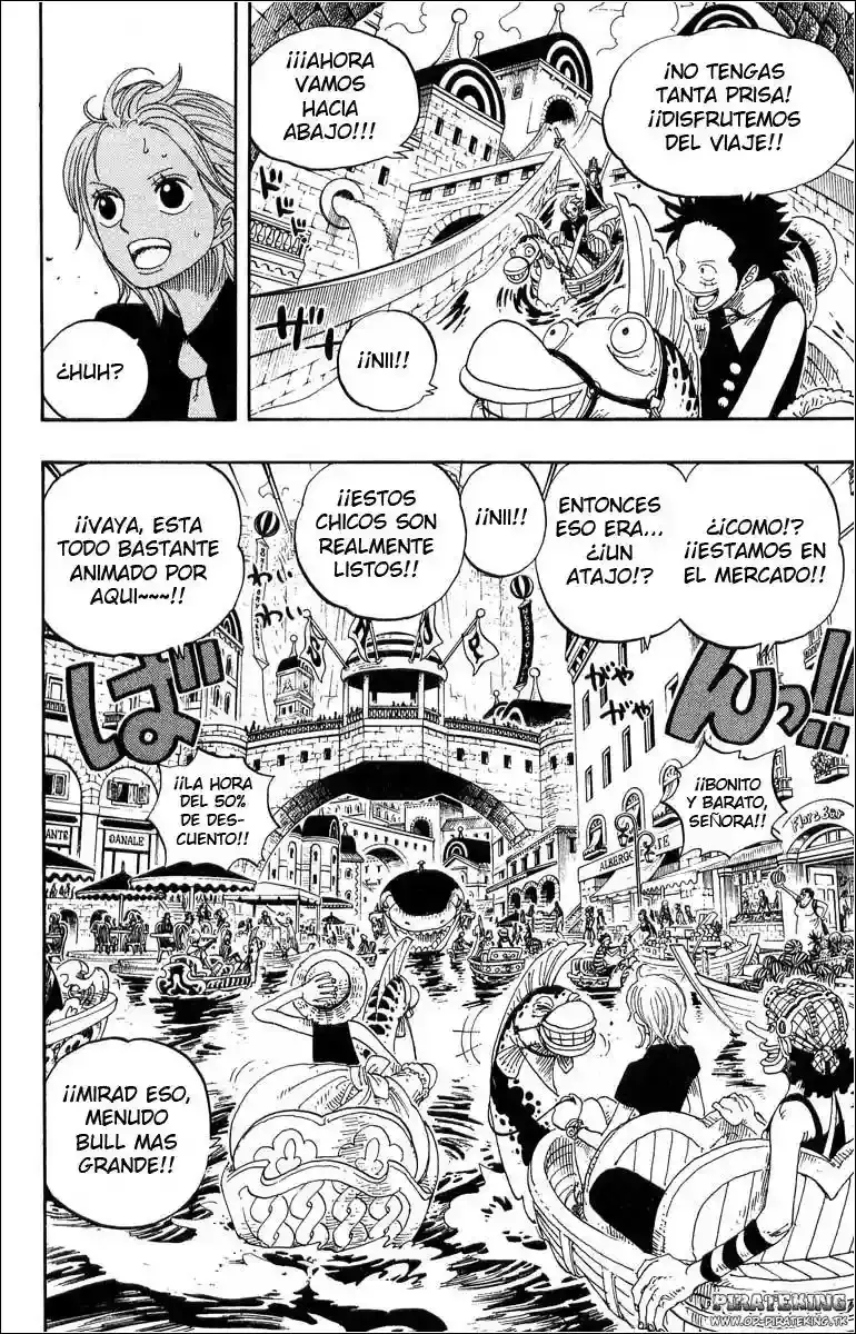 One Piece Capitulo 324 página 10