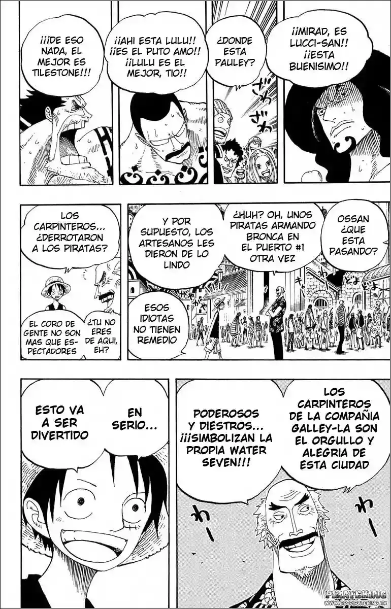 One Piece Capitulo 324 página 17