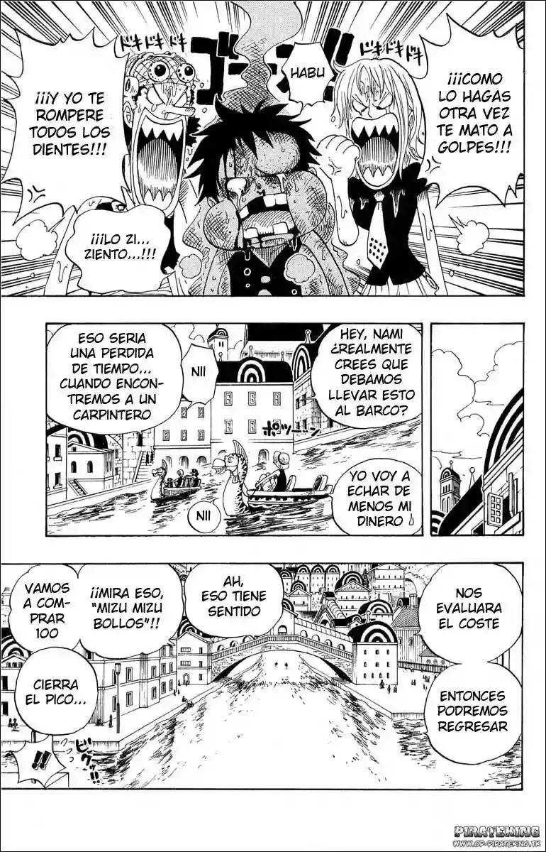 One Piece Capitulo 325 página 13