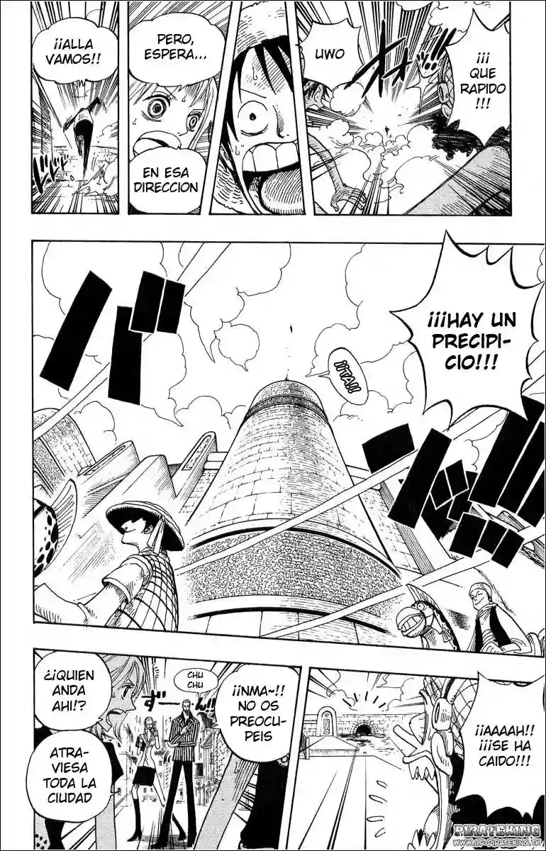 One Piece Capitulo 325 página 18