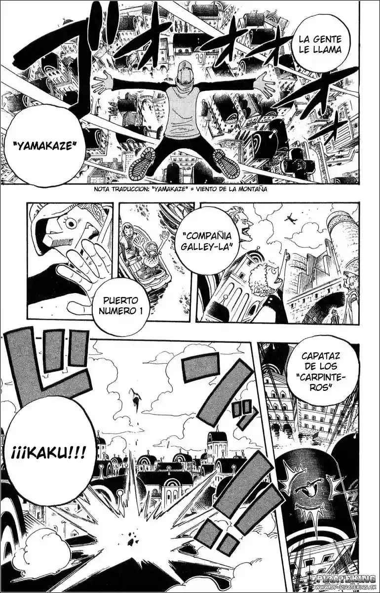 One Piece Capitulo 325 página 19