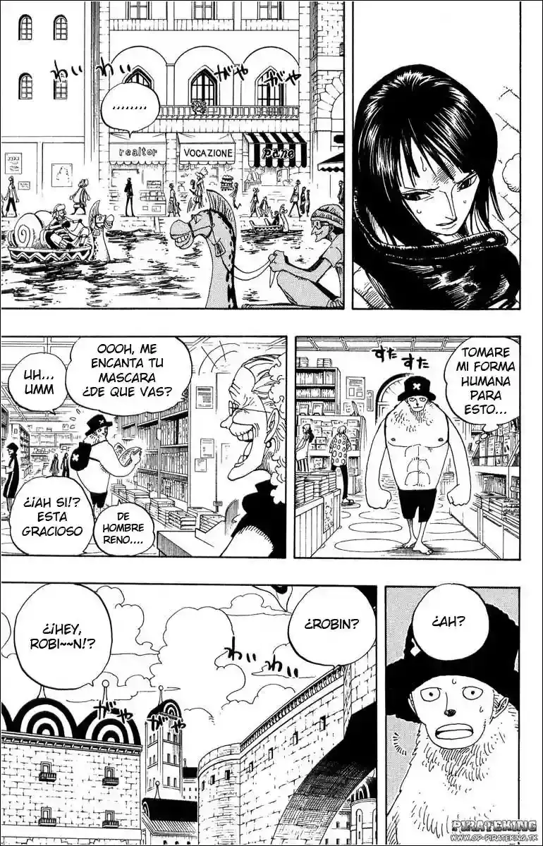 One Piece Capitulo 325 página 9
